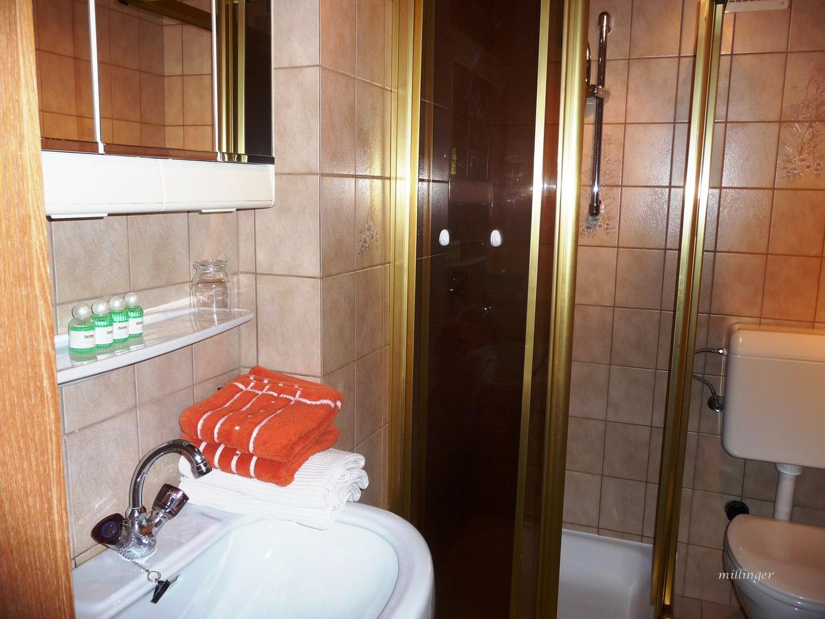 Millinger Appartements Waidring Bagian luar foto